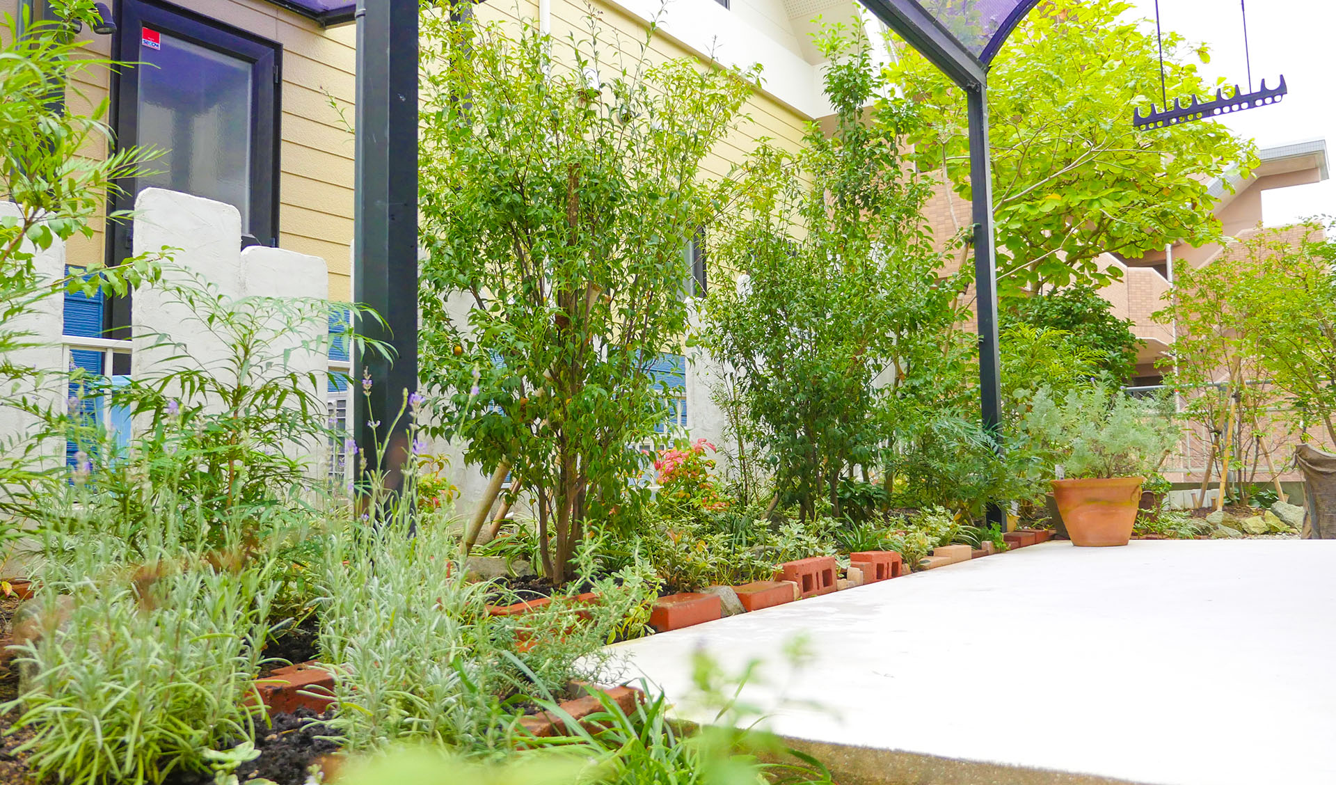 トップページの写真